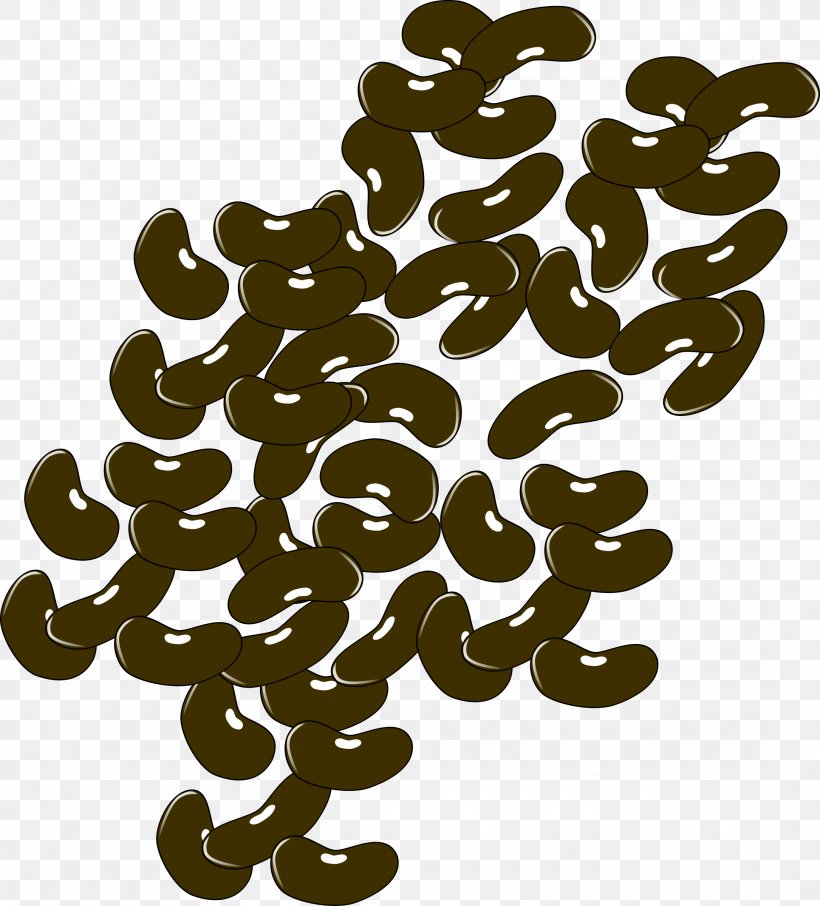 Pinto Bean Black Turtle Bean Clip Art, PNG, 2170x2400px, Pinto Bean, Bean, Black Turtle Bean, Coffee Bean, Common Bean Download Free