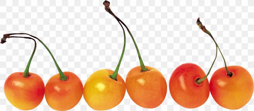 Sweet Cherry Habanero Clip Art, PNG, 3101x1364px, Cherry, Bell Peppers And Chili Peppers, Berry, Chili Pepper, Digital Image Download Free
