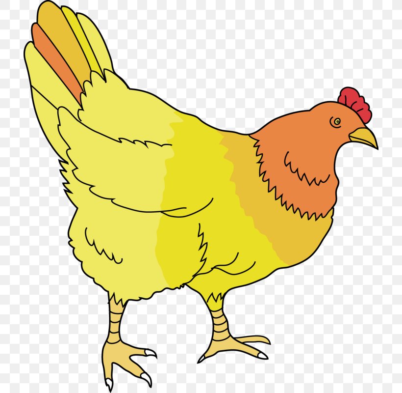 Bird Line Drawing, PNG, 724x800px, Rooster, Animal Figure, Beak, Bird, Chicken Download Free