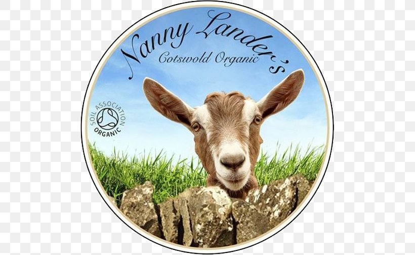 Goat Cheese Farmer Cheese Organic Food, PNG, 501x504px, Goat, Cattle, Cheese, Cotswolds, Cow Goat Family Download Free