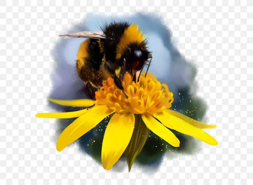 Bumblebee Honey Bee Nectar Drawing, PNG, 600x600px, Bumblebee, Arthropod, Bee, Bee Pollen, Drawing Download Free