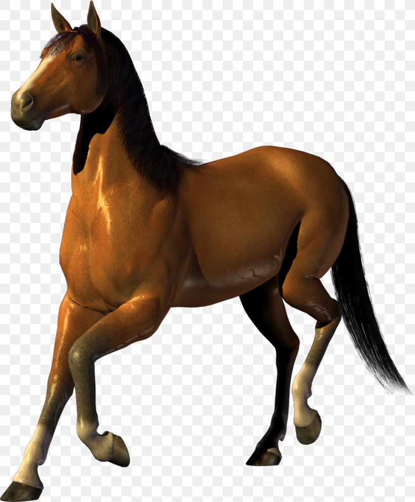 Horse Clip Art, PNG, 280x280px, Mustang, Alpha Compositing, Colt, Horse, Horse Like Mammal Download Free