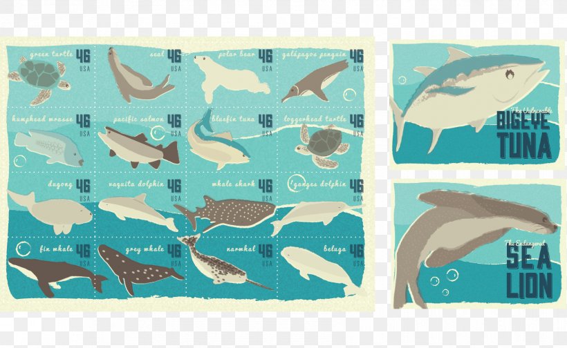 Marine Mammal Fauna Turquoise Fish, PNG, 1707x1050px, Marine Mammal, Aqua, Blue, Fauna, Fish Download Free