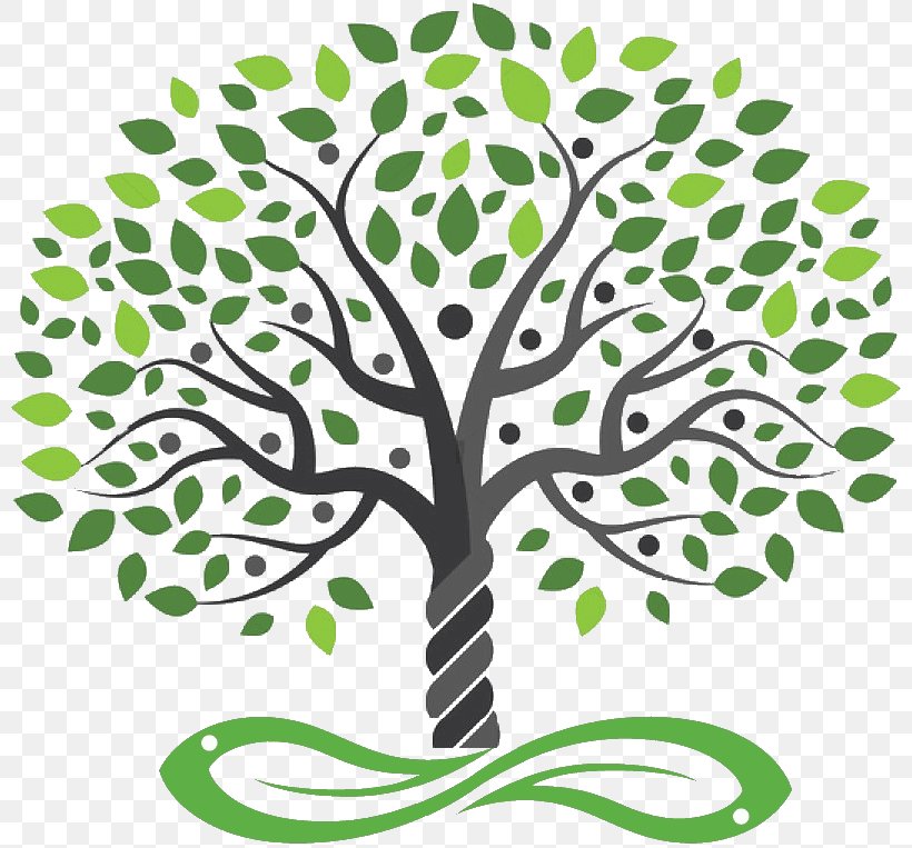 Royalty-free Drawing Tree, PNG, 808x763px, Royaltyfree, Branch, Depositphotos, Drawing, Flora Download Free