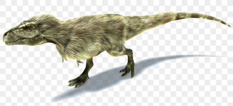 Tyrannosaurus Theropods Ornithomimus Dilong Albertosaurus, PNG, 1326x602px, Tyrannosaurus, Albertosaurus, Beak, Bird, Daspletosaurus Download Free