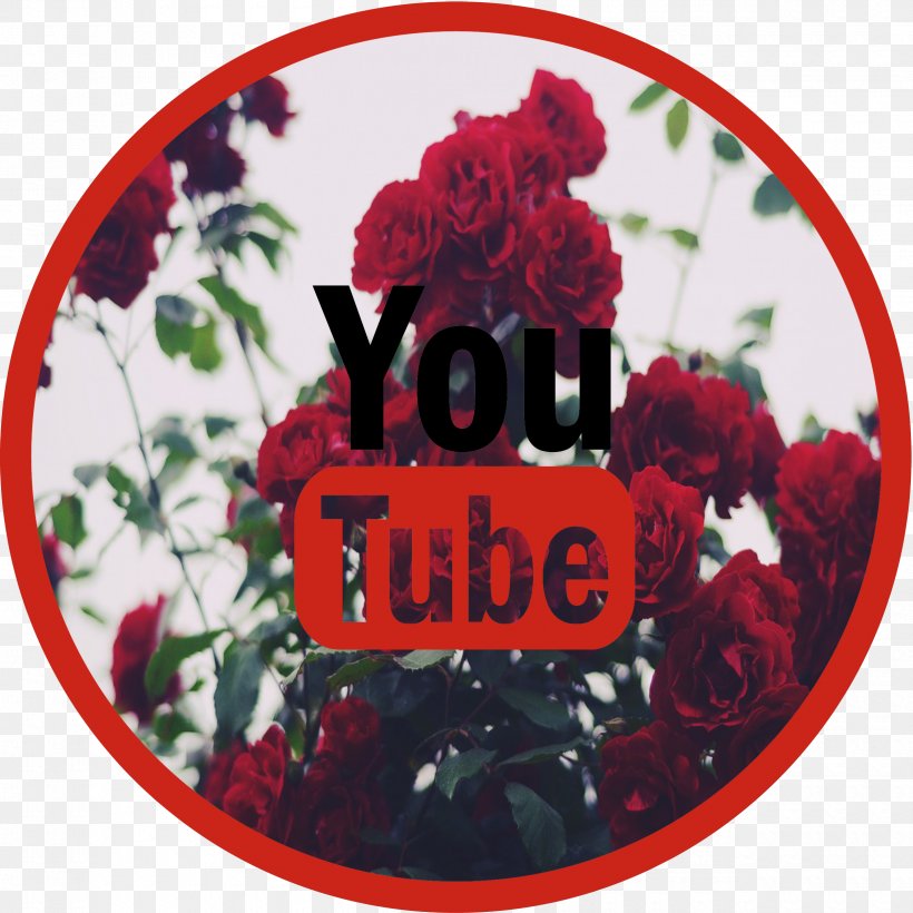 YouTube Sticker Sign Garden Roses Brand, PNG, 2500x2500px, 2016, Youtube, Avatar, Brand, Cut Flowers Download Free
