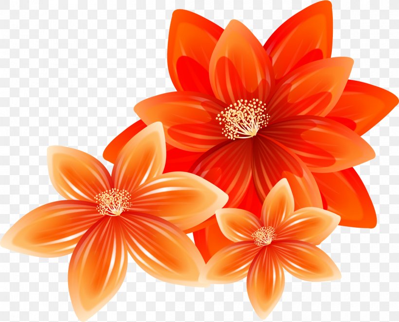 Cut Flowers Illustrator, PNG, 1200x969px, Flower, Cut Flowers, Dahlia, Daisy Family, Floral Design Download Free