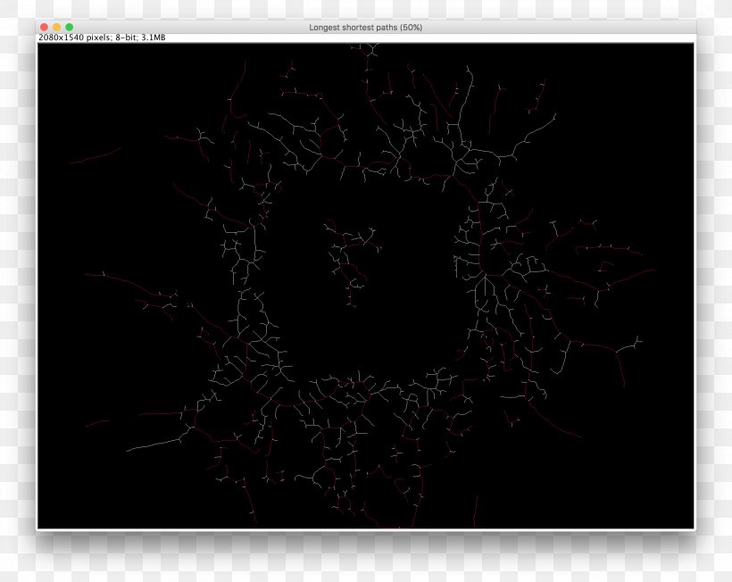 Desktop Wallpaper Computer Screenshot Pattern, PNG, 2324x1848px, Computer, Animal, Black, Black And White, Black M Download Free