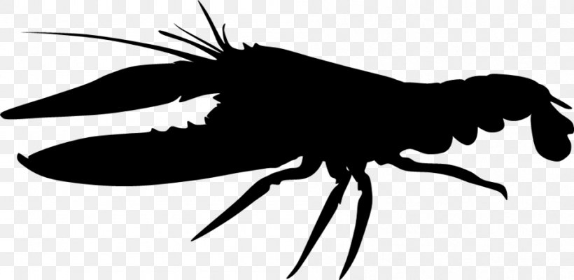 Insect Silhouette Pollinator Black Clip Art, PNG, 949x463px, Insect, Arthropod, Black, Black And White, Fly Download Free