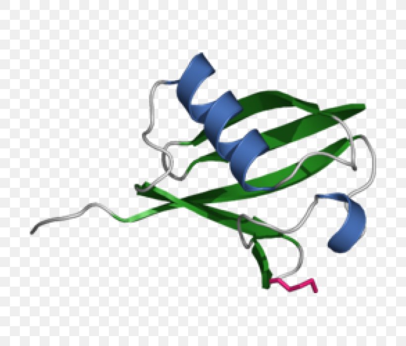 Histone Ubiquitination Proteasome Protein, PNG, 700x700px, Histone, Autophagy, Cell, Cell Signaling, Chemistry Download Free
