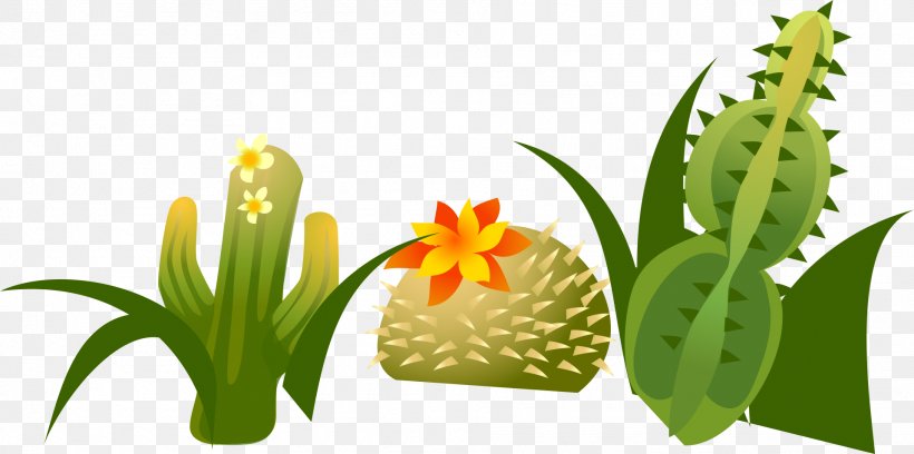 Cactaceae Euclidean Vector, PNG, 1917x954px, Cactaceae, Animation, Cactus, Cartoon, Drawing Download Free