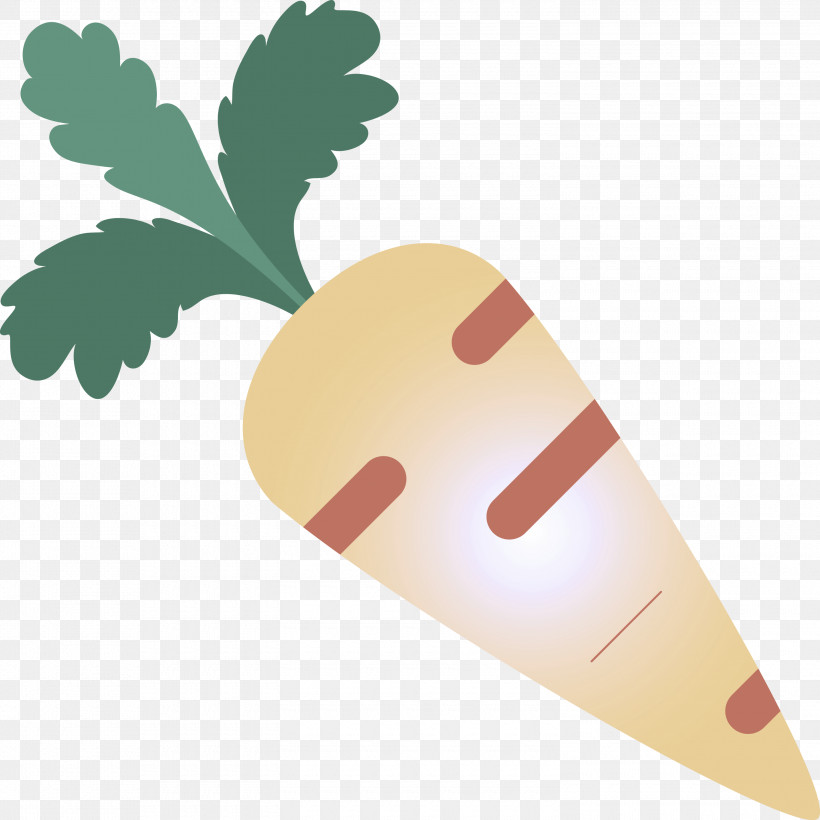 Carrot, PNG, 3000x3000px, Carrot, Daikon, Leaf, Leaf Vegetable, Plant Download Free