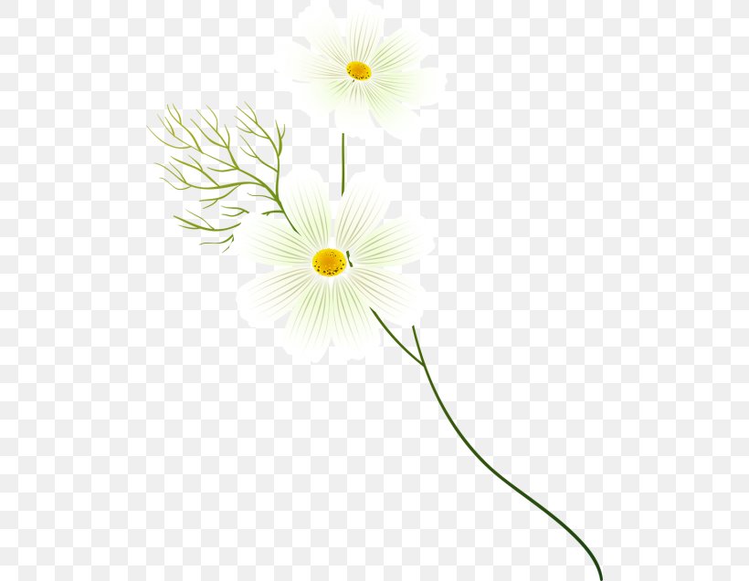 Cut Flowers Plant Stem Petal Line, PNG, 500x637px, Cut Flowers, Daisy, Daisy Family, Flora, Flower Download Free