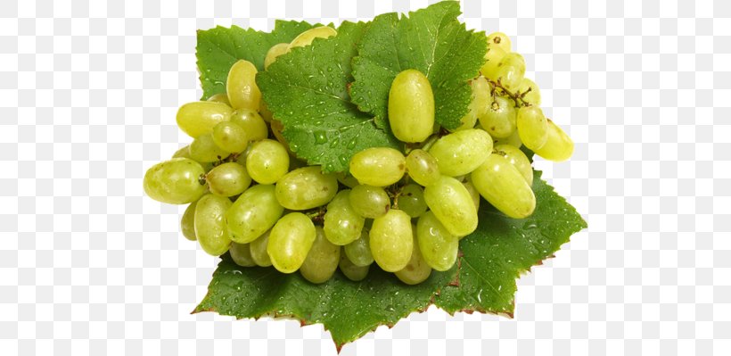 Fruit Vegetable Common Grape Vine Food, PNG, 500x399px, Fruit, Apple, Auglis, Avocado, Banana Download Free