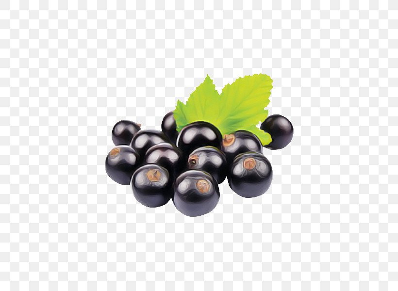 Grape Fruit Berry Plant Grapevine Family, PNG, 600x600px, Grape, Berry, Bilberry, Food, Fruit Download Free