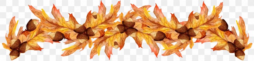Information Clip Art, PNG, 1200x293px, Information, Autumn, Autumn Leaf Color, Christmas, Commodity Download Free