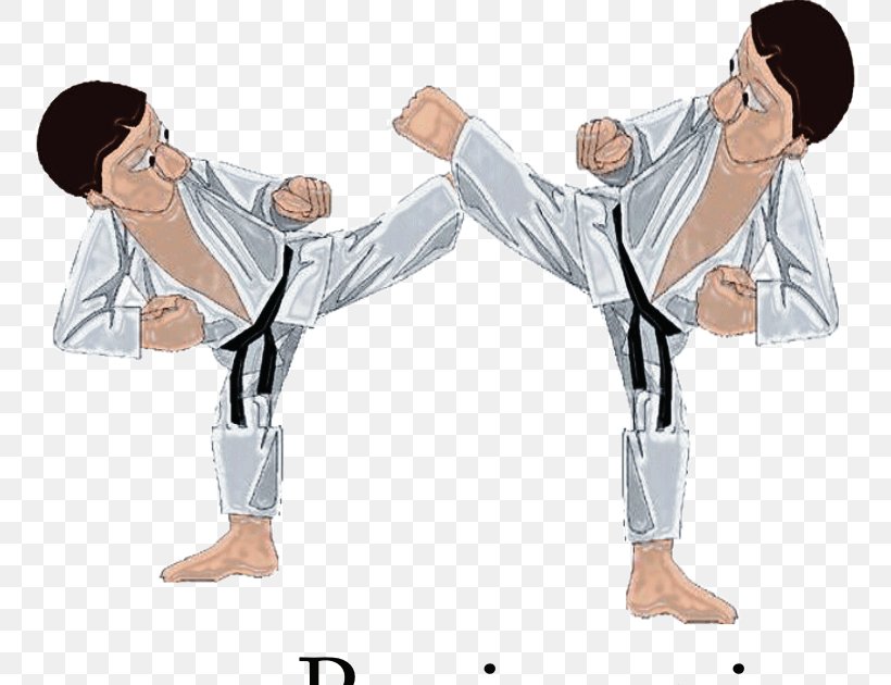 Karate Dobok Inkai Uranium Project Tang Soo Do Hapkido, PNG, 787x630px, Karate, Arm, Behavior, Dobok, Hand Download Free