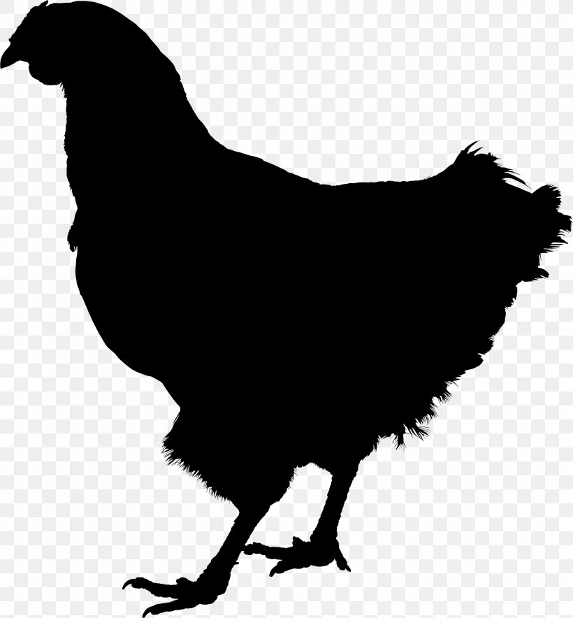 Rooster Silkie Kifaranga Hen Sticker, PNG, 2495x2692px, Rooster, Beak, Bird, Breed, Chicken Download Free