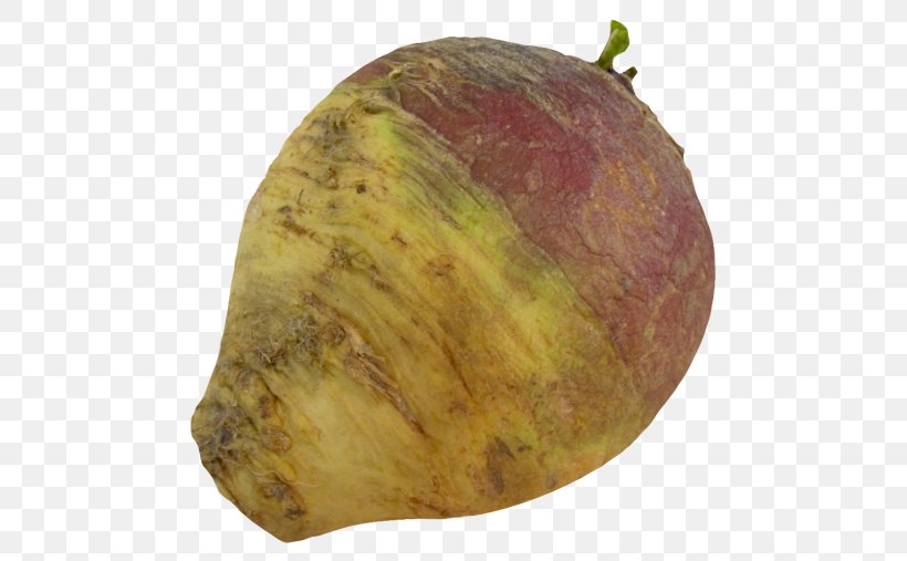 Rutabaga Root Vegetables Turnip, PNG, 500x507px, Rutabaga, Brassica, Brassica Oleracea, Cabbage, Chinese Cabbage Download Free
