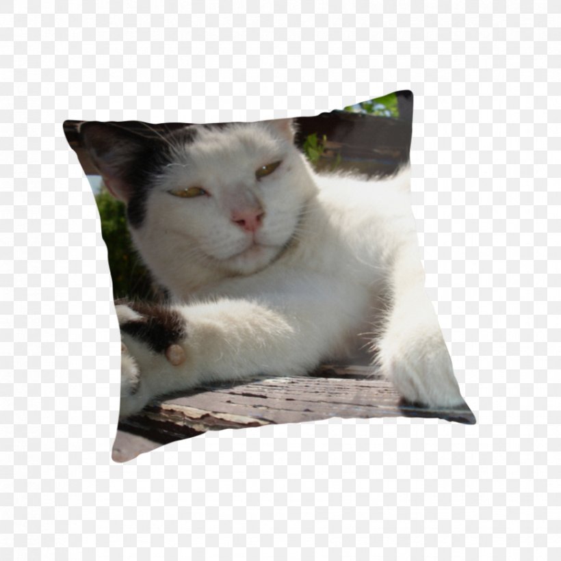 Whiskers Kitten Cat Throw Pillows, PNG, 875x875px, Whiskers, Black And White, Cat, Cat Like Mammal, Cushion Download Free