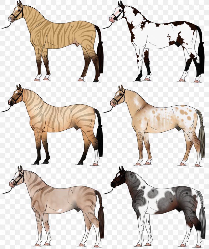 American Paint Horse Zorse Stallion Mare Zebroid, PNG, 900x1072px, American Paint Horse, Animal Figure, Bay, Buckskin, Colt Download Free