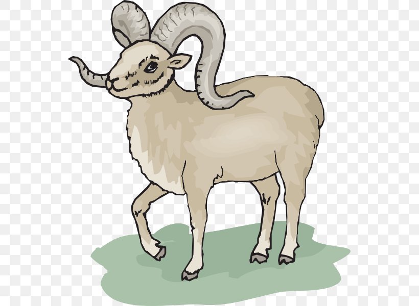 Bighorn Sheep Argali Clip Art, PNG, 552x600px, Sheep, Animal Figure, Argali, Barbary Sheep, Bighorn Sheep Download Free