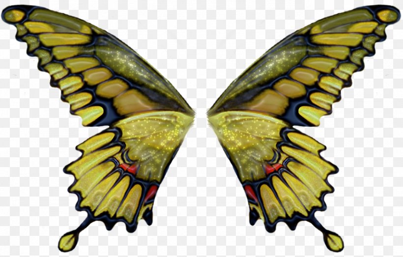 Butterfly Brush, PNG, 1367x873px, 3d Computer Graphics, Butterfly, Arthropod, Bombycidae, Brush Download Free
