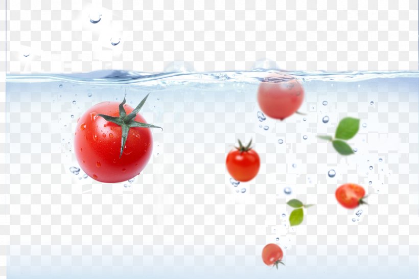 Cherry Tomato Water Filter Tomato Slicer Auglis Tap Water, PNG, 1772x1181px, Cherry Tomato, Auglis, Bottled Water, Diet Food, Food Download Free