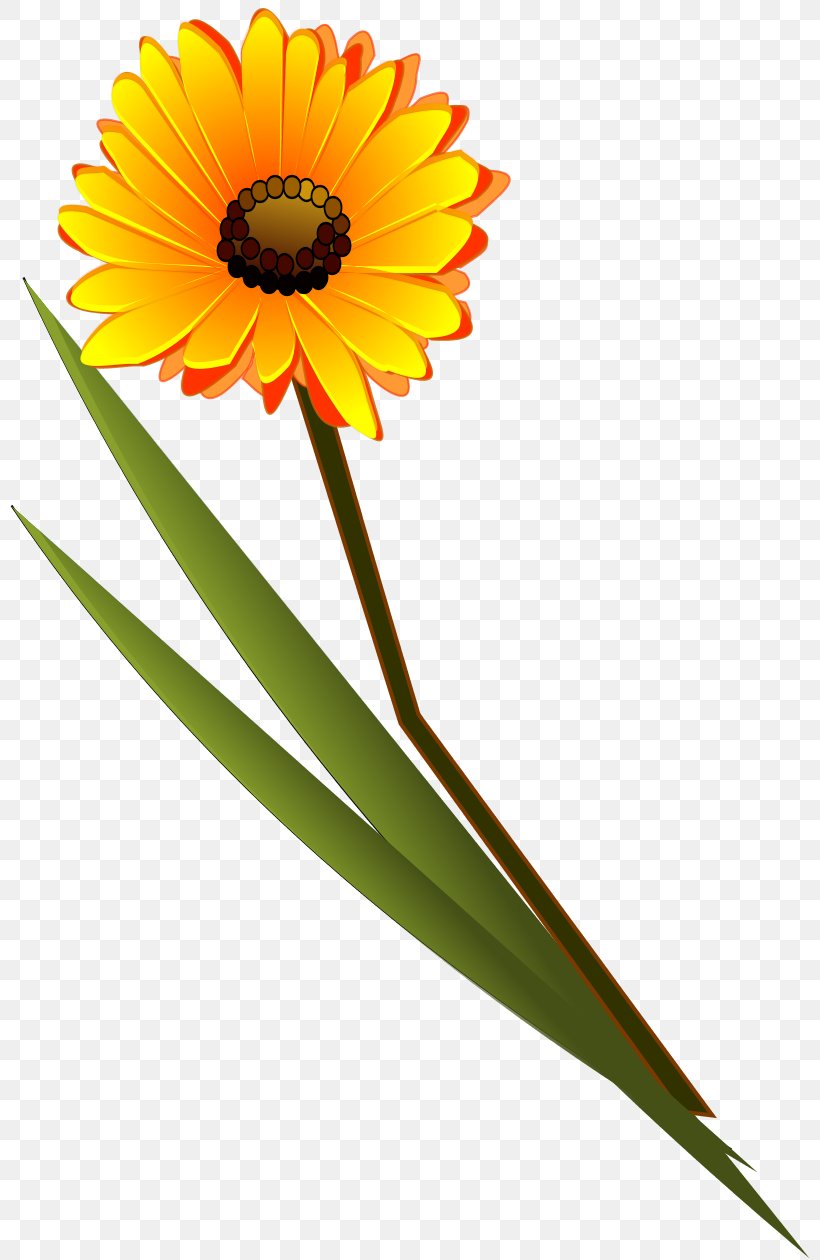 Flower Lds Clip Art Clip Art, PNG, 800x1260px, Flower, Cut Flowers, Daisy, Daisy Family, Drawing Download Free