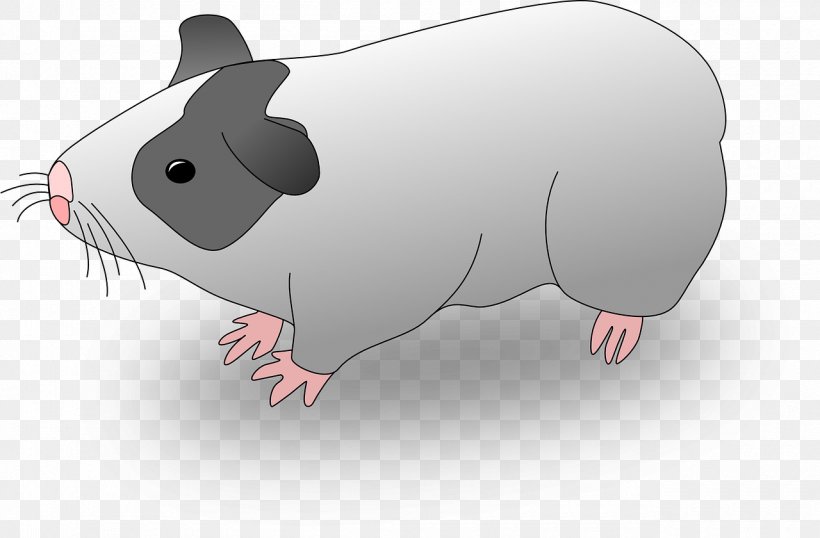 Guinea Pig Domestic Pig Drawing Clip Art, PNG, 1280x840px, Guinea Pig, Cartoon, Domestic Pig, Drawing, Fauna Download Free