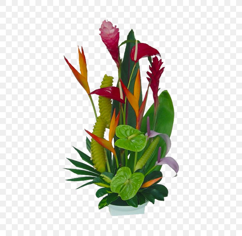 Hawaii Flower Bouquet Floristry Clip Art, PNG, 800x800px, Hawaii, Aquarium Decor, Arrangement, Centrepiece, Cut Flowers Download Free