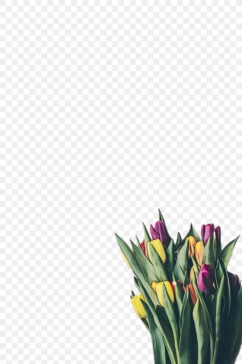 Lily Flower Cartoon, PNG, 1632x2452px, Tulip, Blossom, Bouquet, Cut Flowers, Flora Download Free