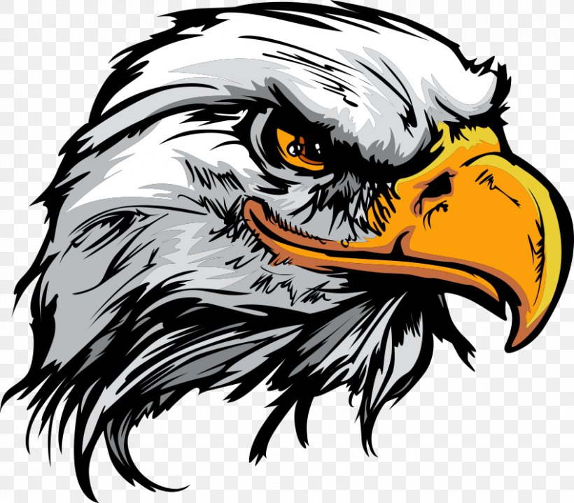 Bald Eagle Logo, PNG, 848x744px, Bald Eagle, Art, Beak, Bird, Bird Of Prey Download Free