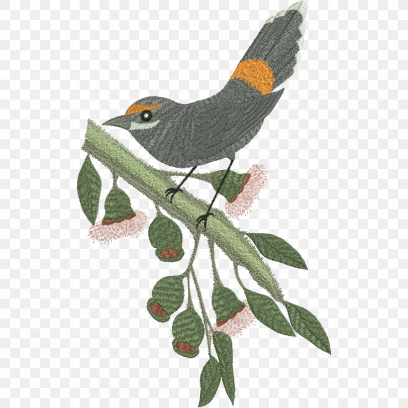 Bird Rufous Fantail Beak Red-backed Fairywren, PNG, 1000x1000px, Bird, Beak, Branch, Cuckoos, Cuculiformes Download Free