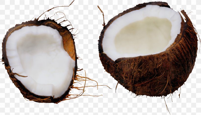 Coconut, PNG, 3497x2005px, Watercolor, Coconut, Coconut Water, Paint, Plant Download Free