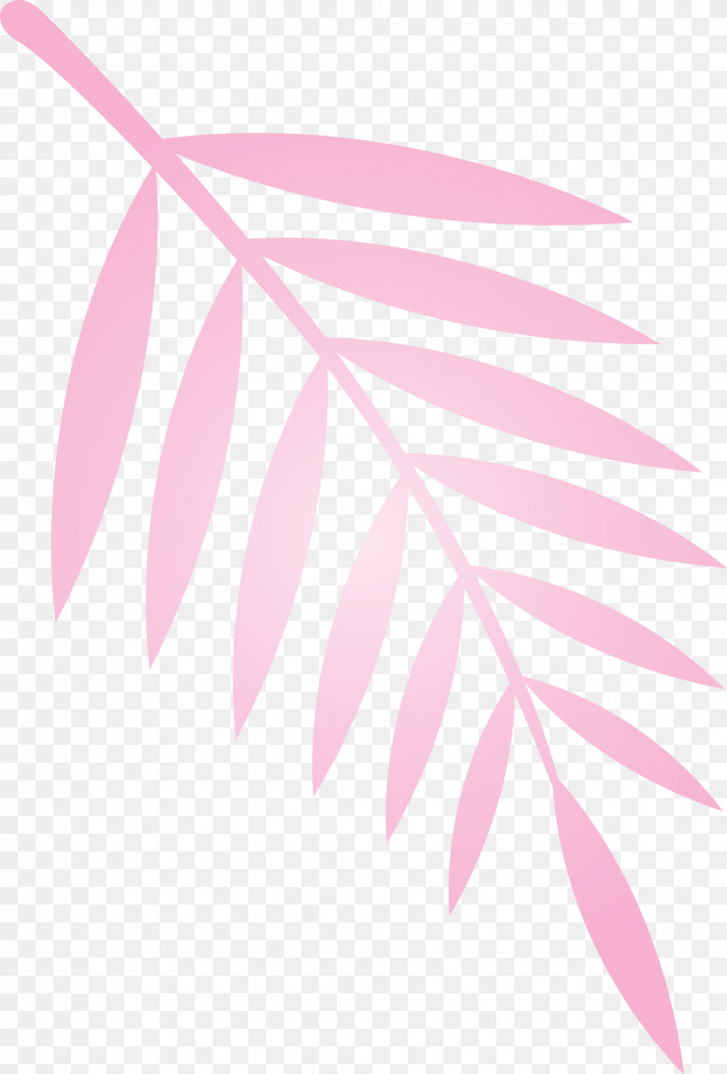 Leaf, PNG, 2031x3000px, Leaf, Flower, Line, Pink, Plant Download Free