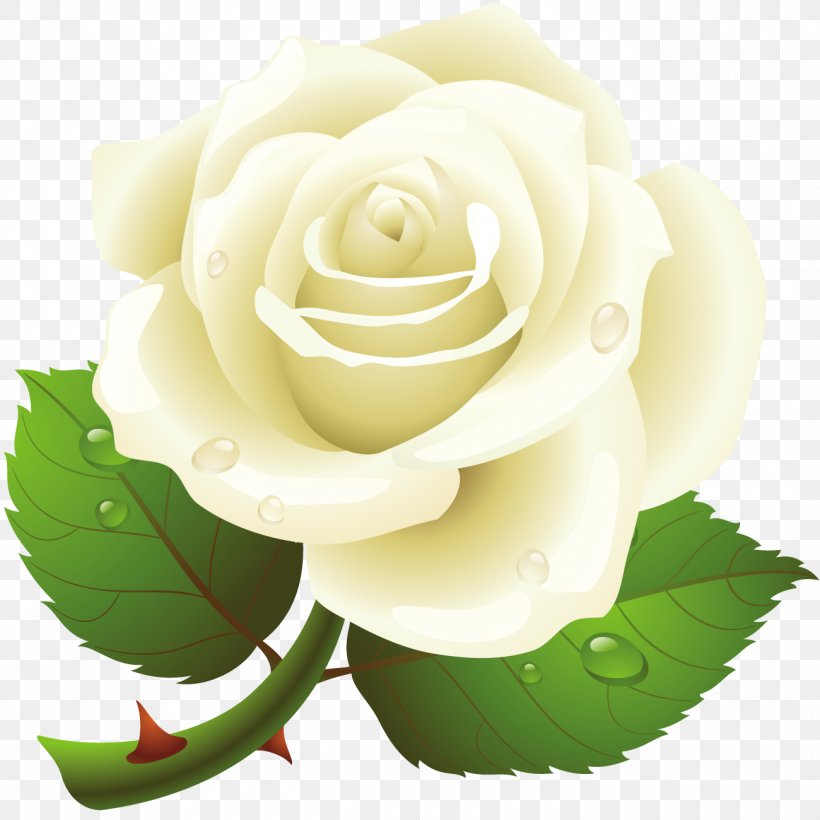 Clip Art Rose Image Desktop Wallpaper, PNG, 1300x1300px, Rose, Botany, Cut Flowers, Floral Design, Floribunda Download Free