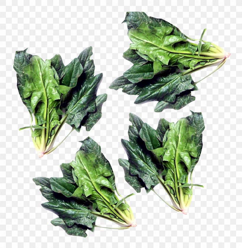 Spinach Vegetarian Cuisine Chard Komatsuna Vegetable, PNG, 1201x1229px, Spinach, Chard, Chinese Broccoli, Choy Sum, Collard Greens Download Free