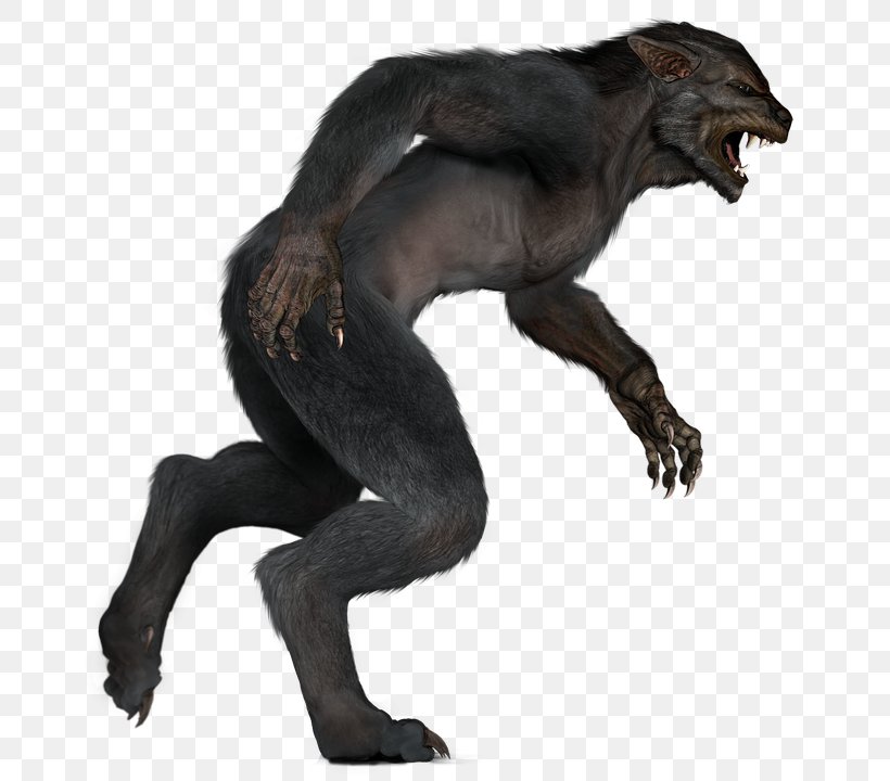 Werewolf Stock.xchng Image Vector Graphics, PNG, 690x720px, Werewolf, Fictional Character, Fur, Great Ape, Michigan Dogman Download Free