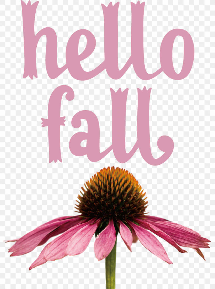 Hello Fall Fall Autumn, PNG, 2235x3000px, Hello Fall, Autumn, Biology, Coneflower, Cut Flowers Download Free