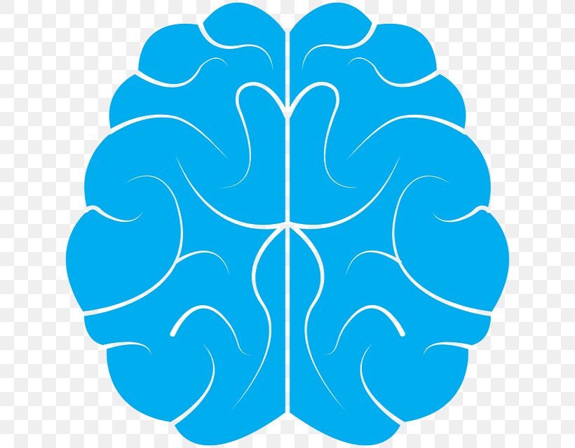 Human Brain Research Neuroscience Opioid Receptor, PNG, 640x640px, Brain, Area, Basal Ganglia, Blind Spot, Brain Tumor Download Free