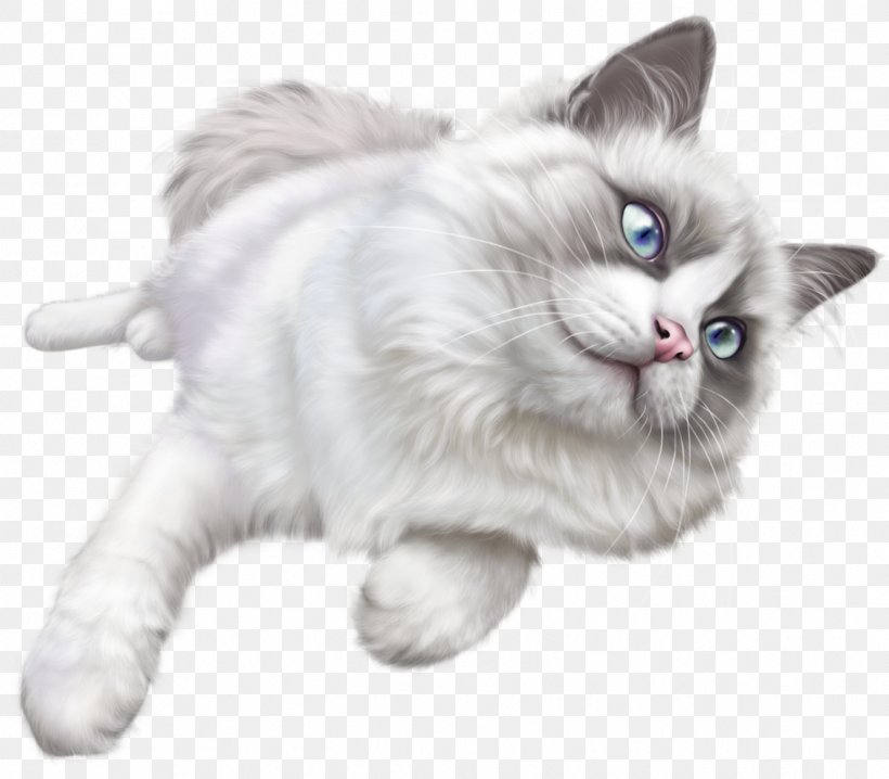 Kitten Ragdoll Clip Art, PNG, 1134x994px, Kitten, Asian Semi Longhair, Birman, British Semi Longhair, Carnivoran Download Free