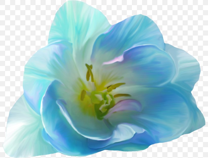 Pink Flowers Blue Clip Art, PNG, 800x623px, Flower, Blue, Color, Cut Flowers, Flowering Plant Download Free