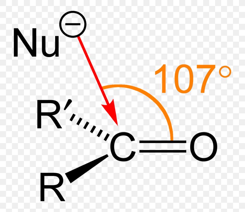 Functional Group Angle Amine Protopine Carbonyl Group, PNG, 800x711px, Functional Group, Aldehyde, Amide, Amine, Area Download Free