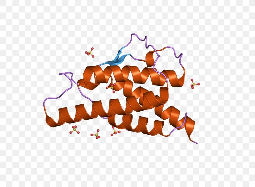 Interleukin 4 T Helper Cell MHC Class II Th2 Cytokine, PNG, 800x600px, Interleukin 4, Cell, Cellular Differentiation, Cytokine, Hladm Download Free
