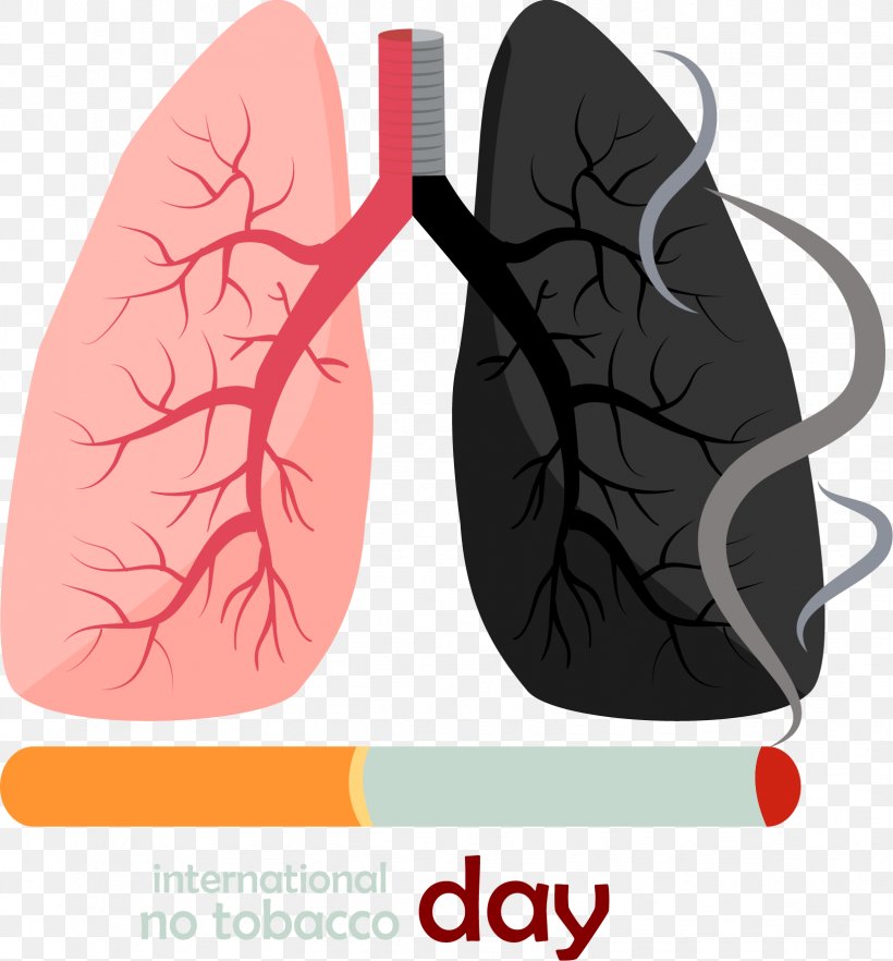 Smoking Lung Euclidean Vector Cigarette, PNG, 1646x1772px, Watercolor,  Cartoon, Flower, Frame, Heart Download Free