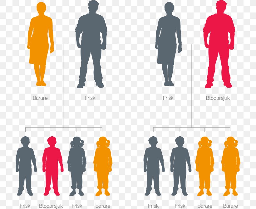 Haemophilia Genetics Mutation YazKampi Graphic Design, PNG, 720x670px, Haemophilia, Brand, Chromosome, Communication, Conversation Download Free