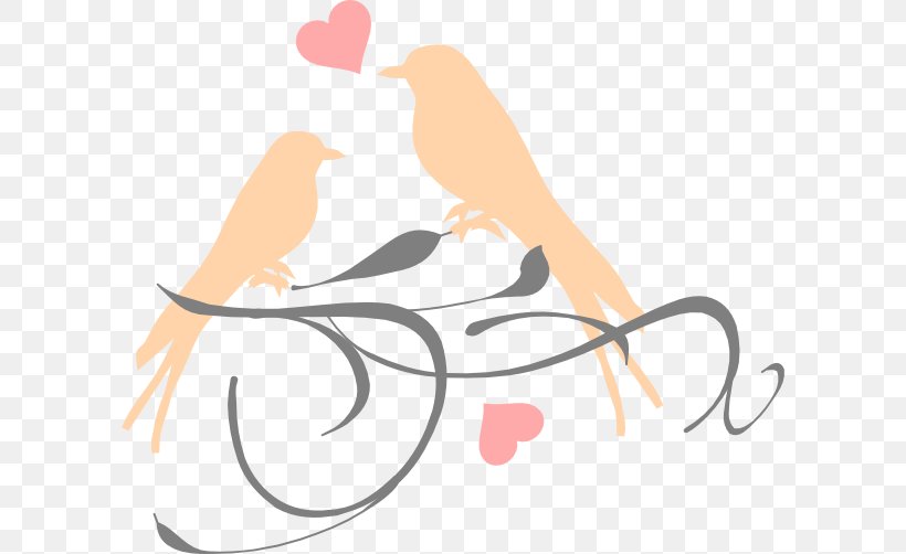 Lovebird Wedding Invitation Clip Art, PNG, 600x502px, Watercolor, Cartoon, Flower, Frame, Heart Download Free