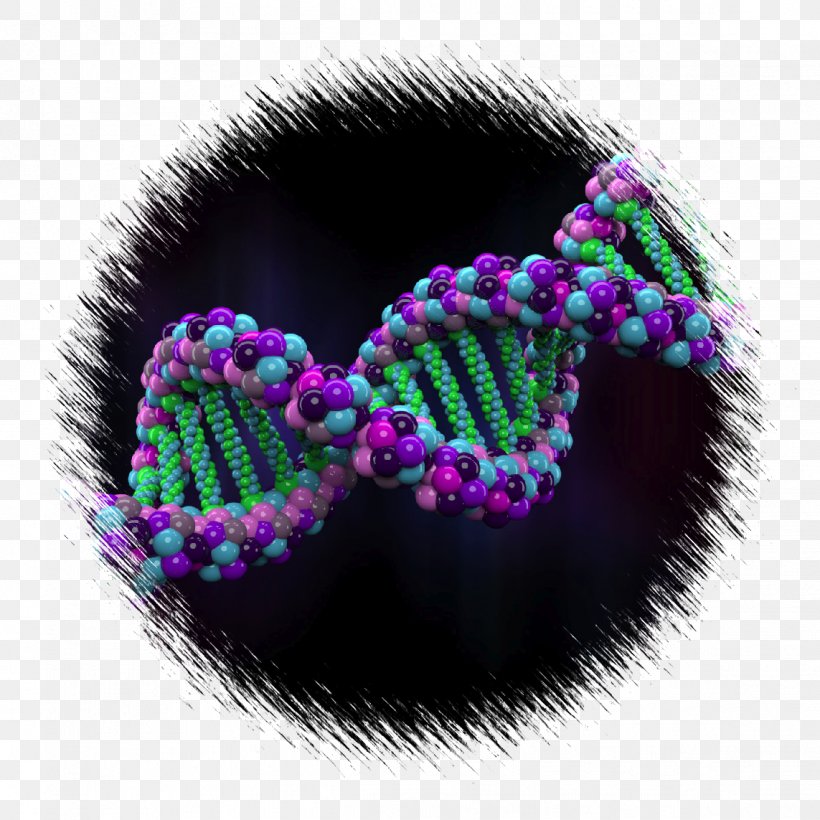 Human Genome Project Genetics, PNG, 1143x1143px, Human Genome Project, Bead, Body Jewelry, Dna, Gene Download Free