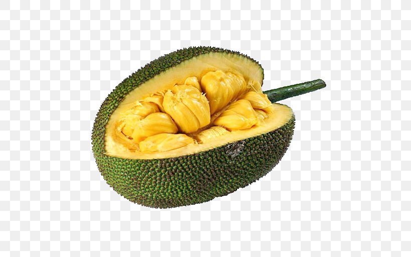 Jackfruit Cempedak Tropical Fruit Food, PNG, 512x512px, Jackfruit, Breadfruit, Cempedak, Commodity, Food Download Free